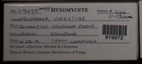 Image Associated With the Occurence